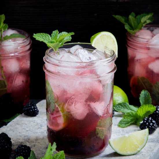 Low-Carb Blackberry Mojito