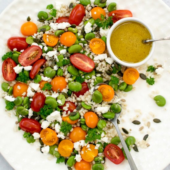 Broad Bean, Tomato & Barley Salad