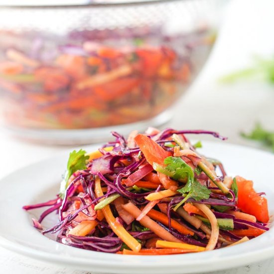 Low Carb Rainbow Asian Slaw