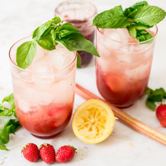 Berry Rhubarb Gin Fizz