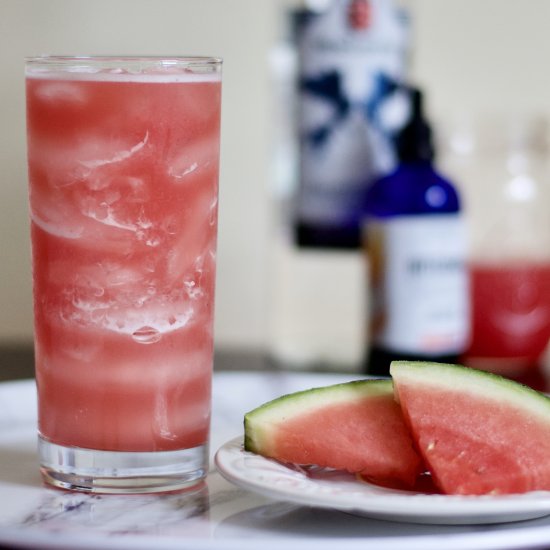 Spicy Watermelon and Gin