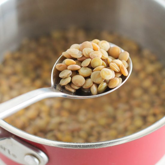 How to Cook Lentils