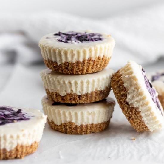 No-Bake Blueberry Cheesecake Bites