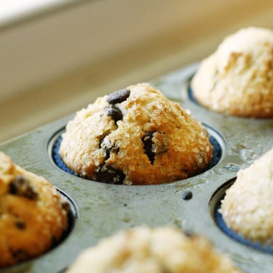 Chocolate Chip Muffins