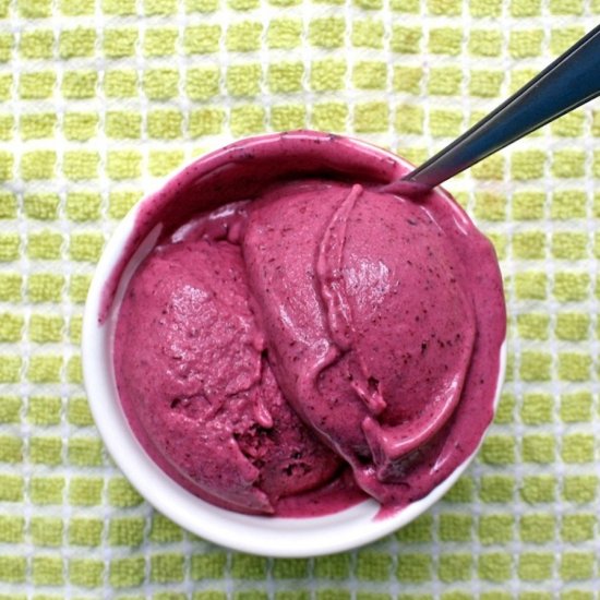 Eggless Blueberry Coconut Ice Cream