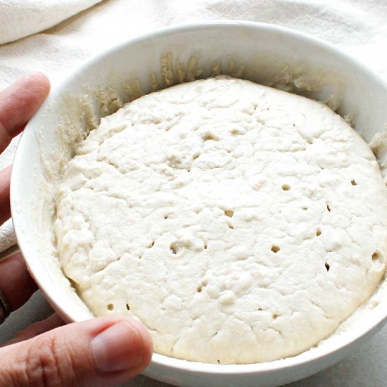 EASIEST GF SOURDOUGH STARTER