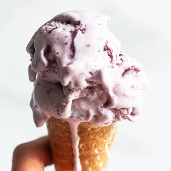 Vegan Chocolate Cherry Ice Cream