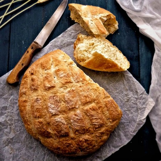 EASY &TASTY NO KNEAD ARTISAN BREAD