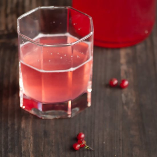 Homemade Red Currant Cordial