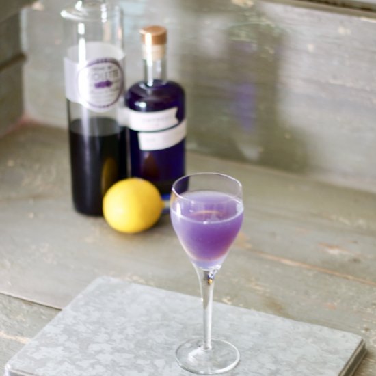 The Blue Moon Gin Cocktail