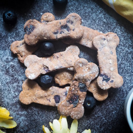 Crunchy Blueberry Dog Treats