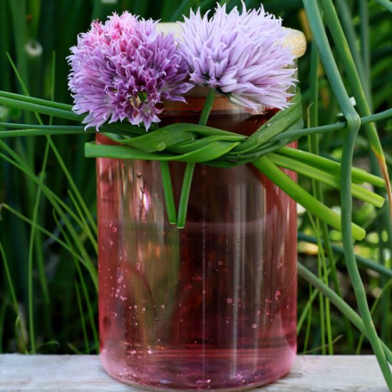 How to Make Chive Blossom Vinegar