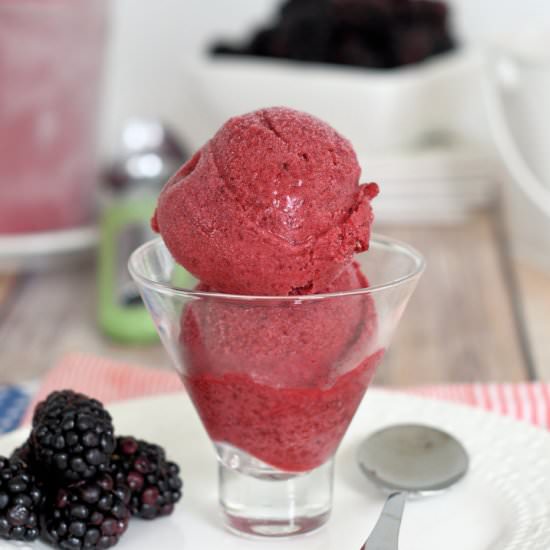 Homemade Blackberry Sorbet