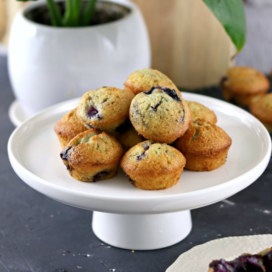 Easy Blueberry Friands