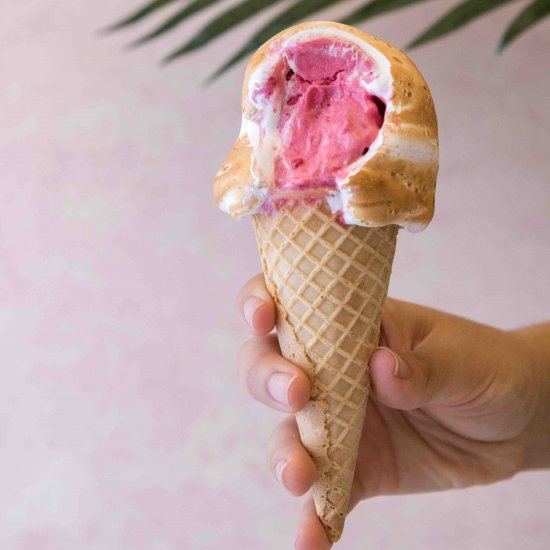 2-ingredient raspberry sorbet