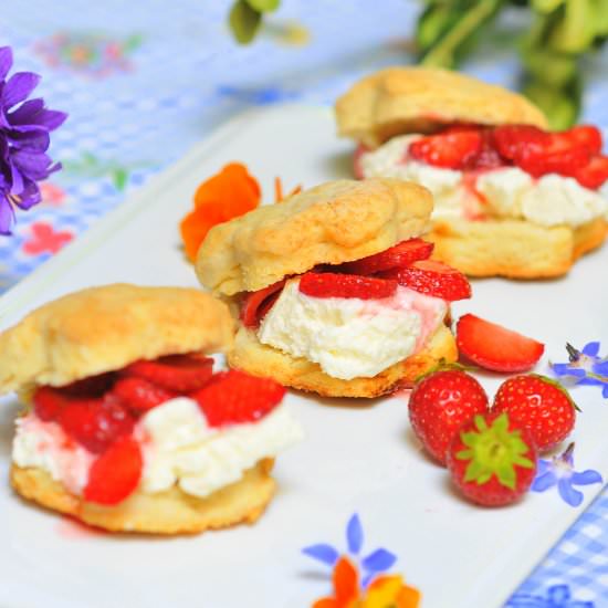 Individual Strawberry Shortcakes