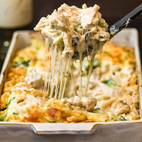 chicken alfredo bake!