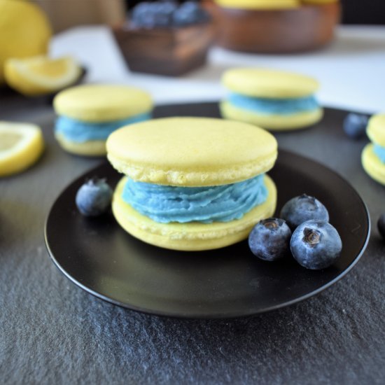 Lemon Blueberry Vegan Macarons