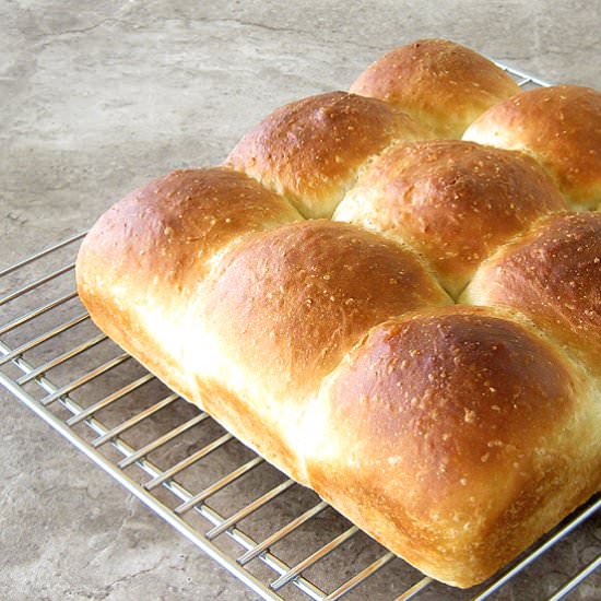 Toaster Oven Dinner Rolls