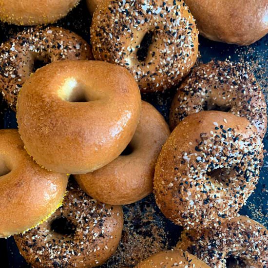 the BEST NY Style Bagels <3