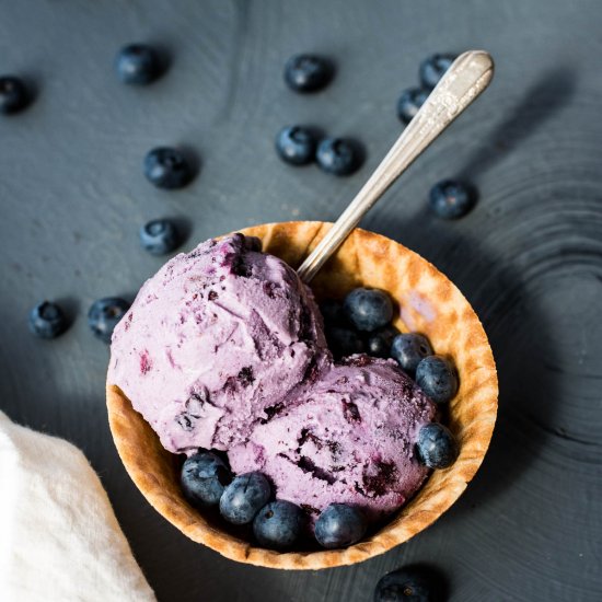 Blueberry Ice Cream