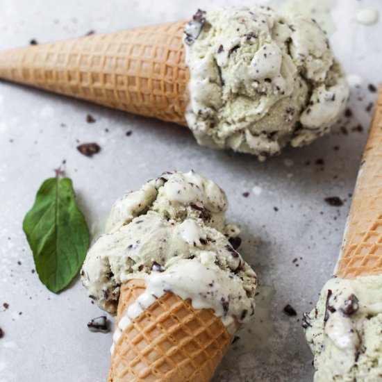 Mint Chocolate Chip Ice Cream