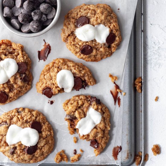 Oatmeal Chocolate Chip Marshmallow