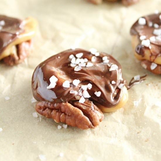 Turtle Candies