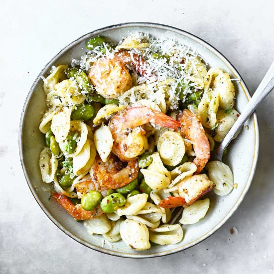 Pasta with shrimp and fava beans