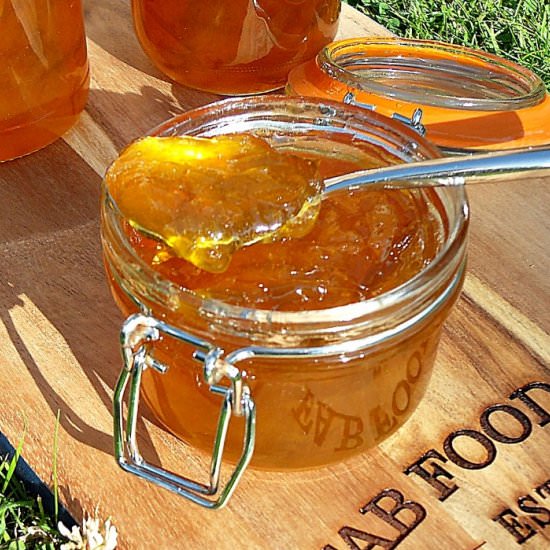 Mirabelle Plum Jam