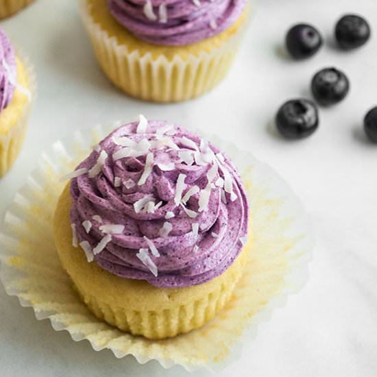 Coconut Blueberry Cupcakes