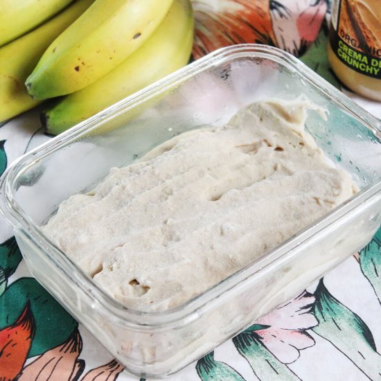 Peanut butter banana ice cream