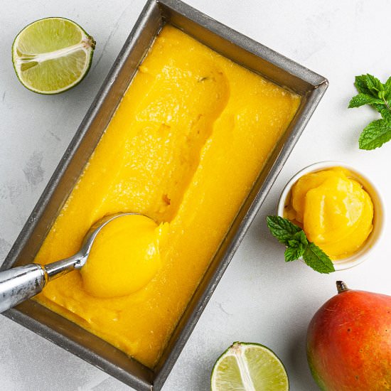 Sugar-Free Vegan Mango Sorbet