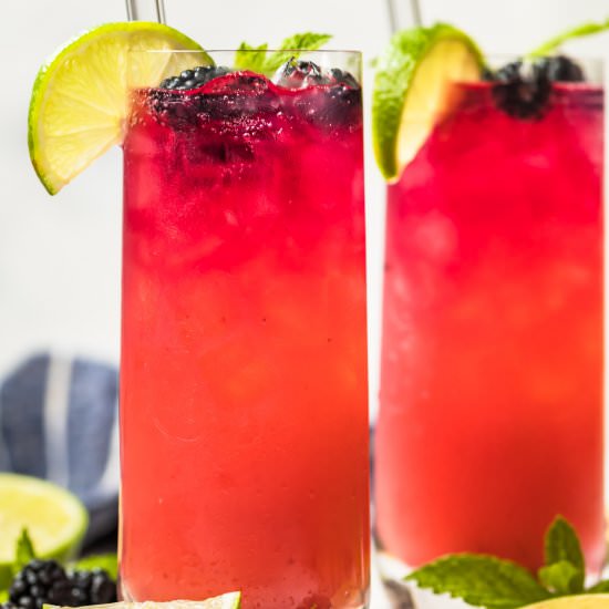 blackberry paloma!