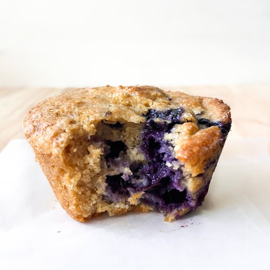 Blueberry Oat Protein Muffins