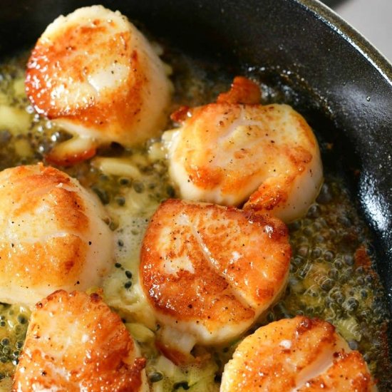 Seared Scallops