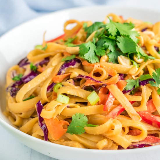 Peanut Sauce Noodles