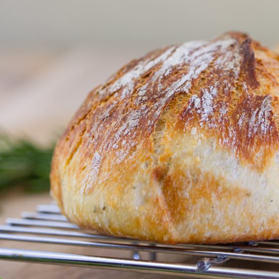 No-Knead Parmesan Rosemary Bread