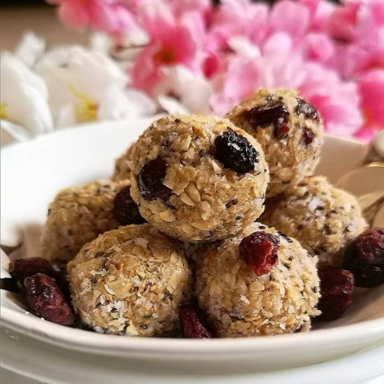 Cranberry Oat Bites