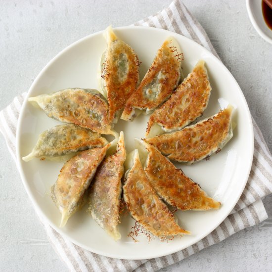 Japanese Vegan Vegetable Gyoza