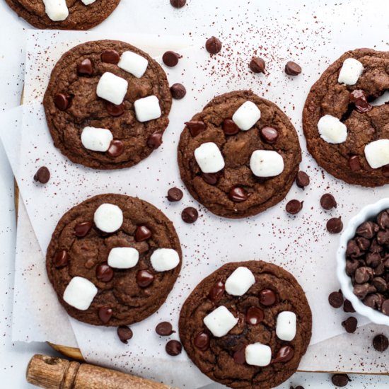 Hot Chocolate Cookies