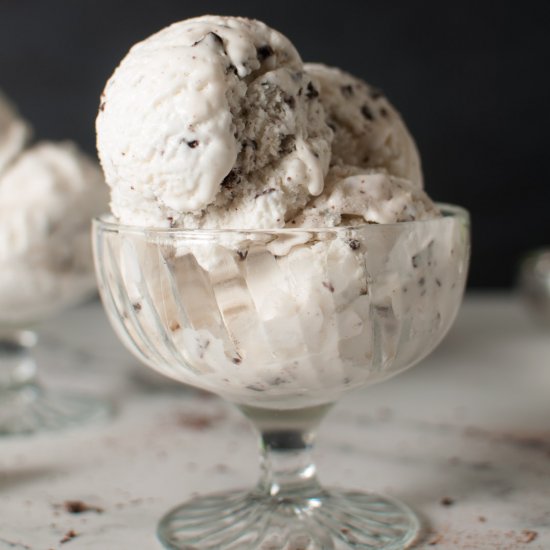 Mint Chip Ice Cream