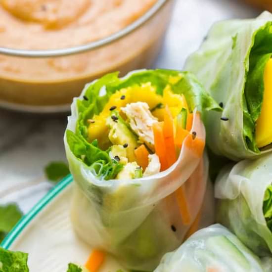 Chicken Avocado Mango Summer Rolls