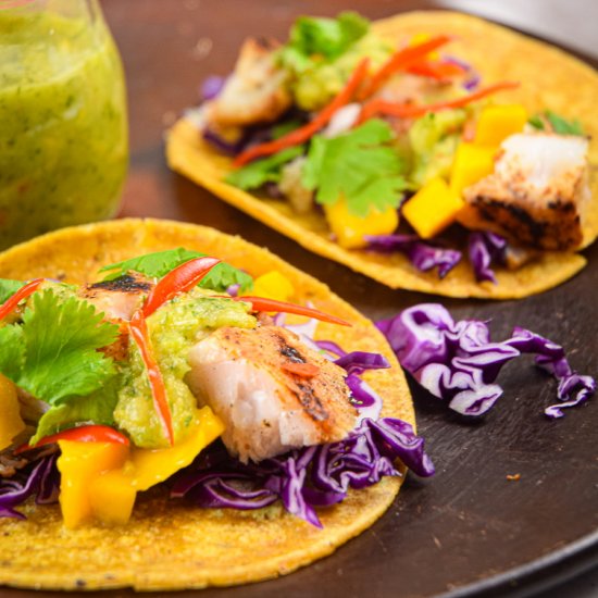 Grilled Halibut Tacos with Salsa