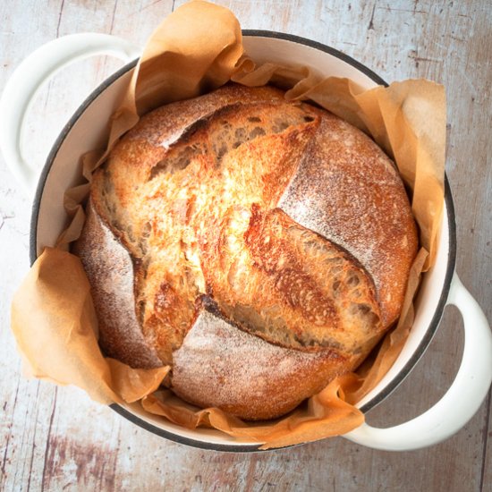 Sourdough: How to Shape Round Boule