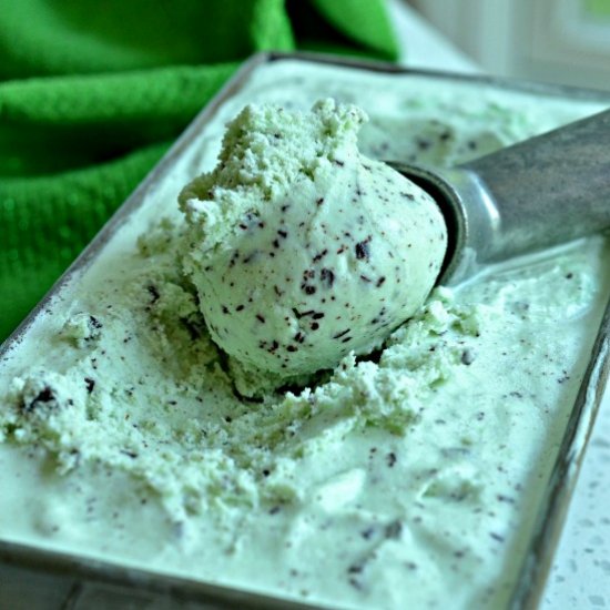 Mint Chocolate Chip Ice Cream