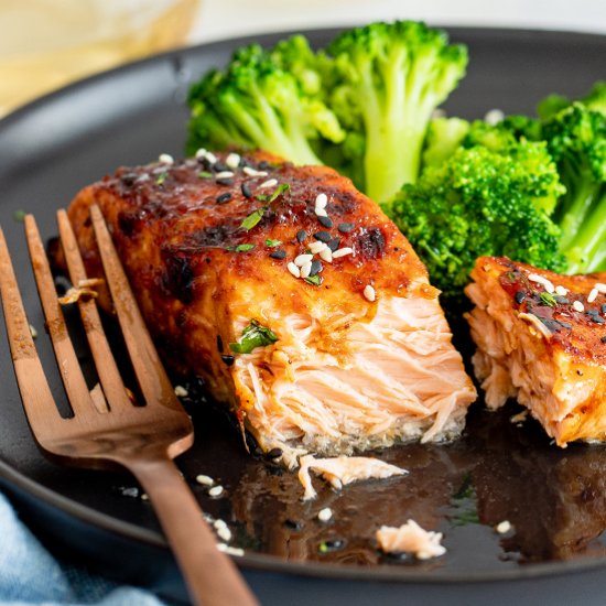 Hoisin Glazed Air Fryer Salmon