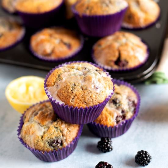 Blackberry & Lemon Muffins