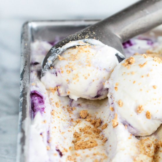 No Churn Blueberry Cheesecake FroYo