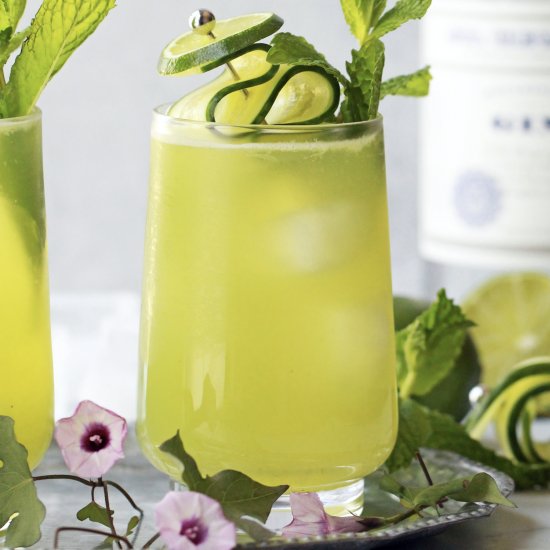 Cucumber Fizz Cocktail